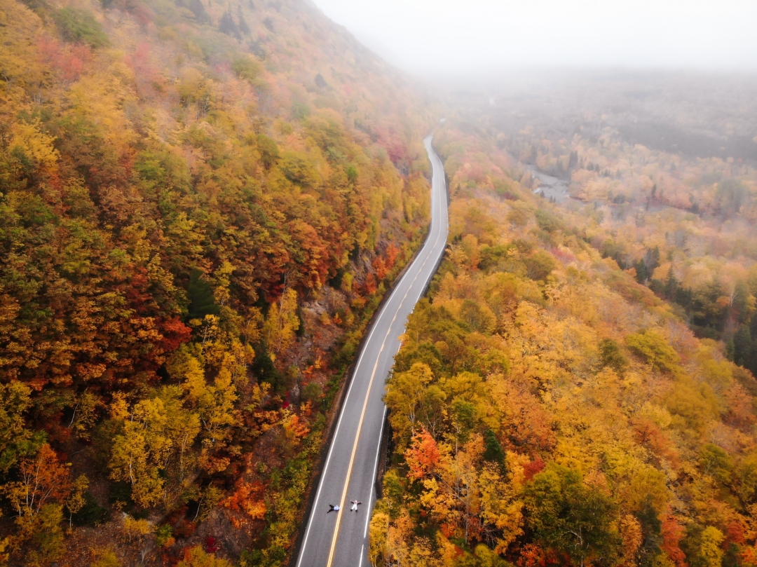 Scenic fall road lined with colorful autumn leaves under a golden canopy