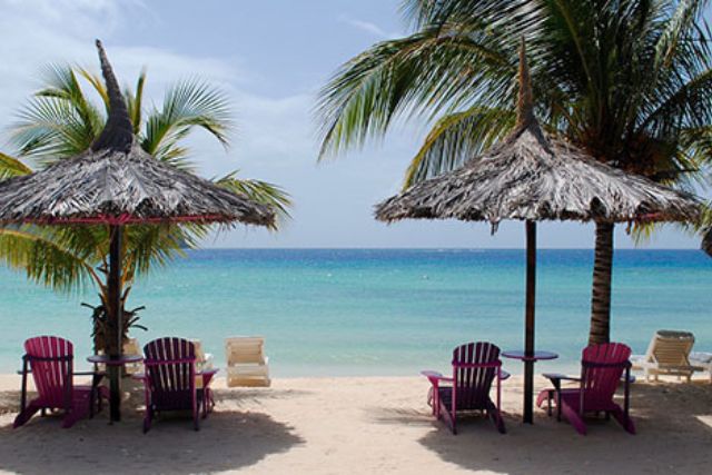 Copy of AI Resort (1)